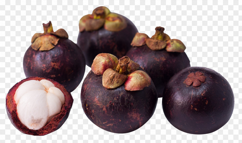 Purple Mangosteen Food PNG