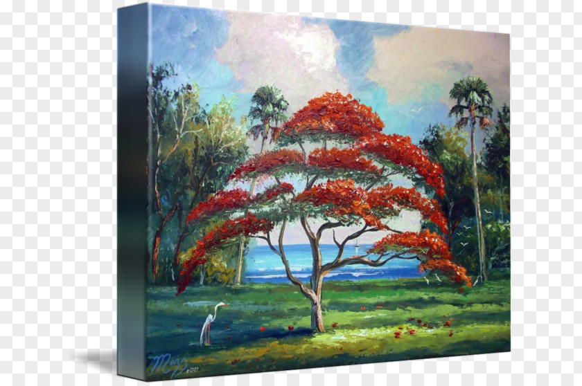 Royal Poinciana Oil Painting Art Landscape Acrylic Paint PNG