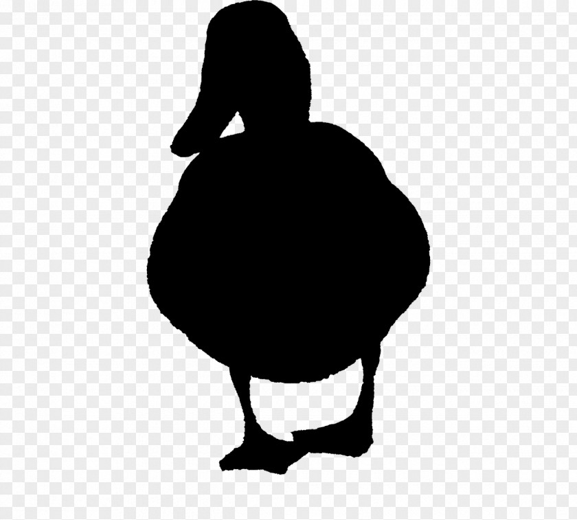 Duck Goose Fowl Clip Art Beak PNG