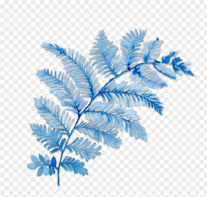Ferns And Horsetails Twig Flower Falling PNG