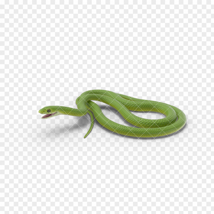 Green Snake,snake,animal,Hydra Smooth Snake U9577u86c7 PNG