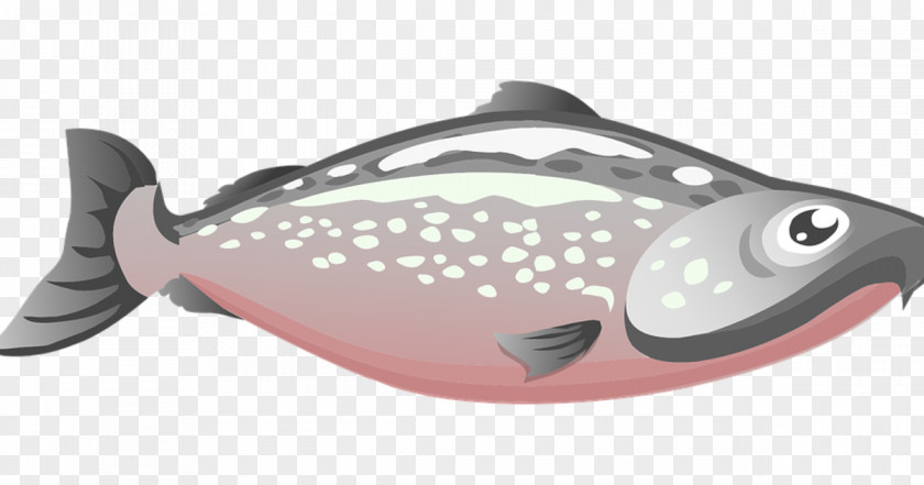 Metal Sole Sushi Cartoon PNG