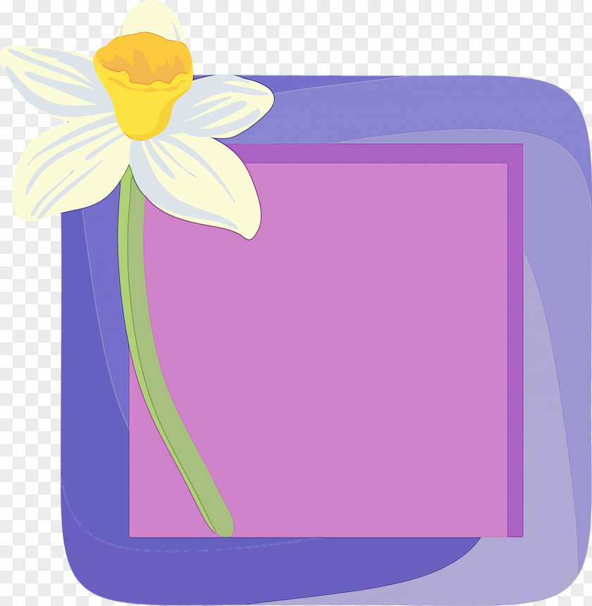 Picture Frame PNG