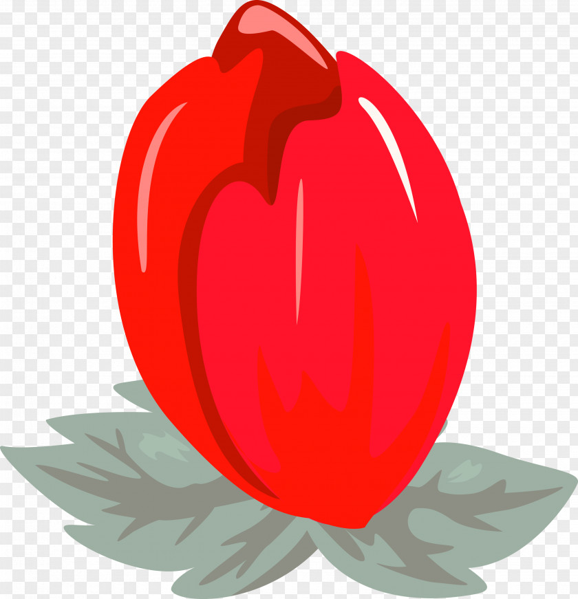 Red Leaf Plant Petal Heart PNG
