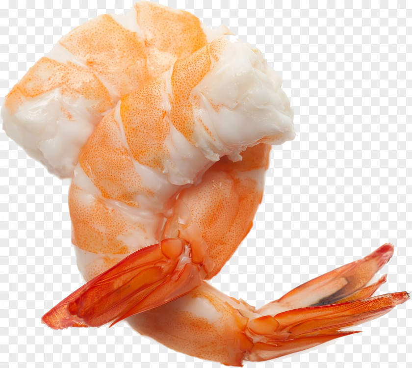 Shrimps PNG clipart PNG