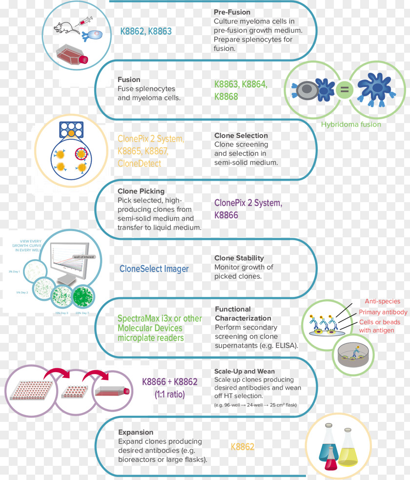 Thymidine Hybridoma Technology Cell Culture HAT Medium Multiple Myeloma PNG