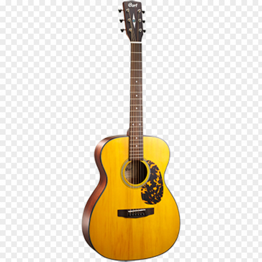 Acoustic Guitar Cort Guitars Steel-string Cutaway PNG