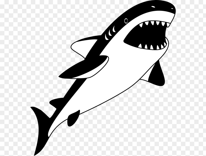 Shark Clip Art Whale Illustration Cetacea PNG