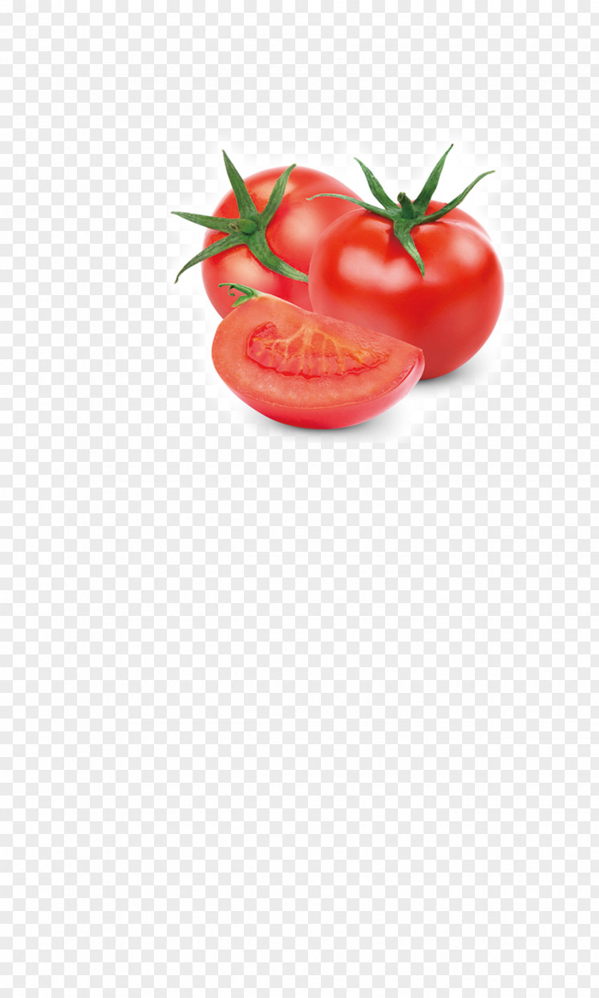 Tomato Vegetable Fruit Auglis Food PNG