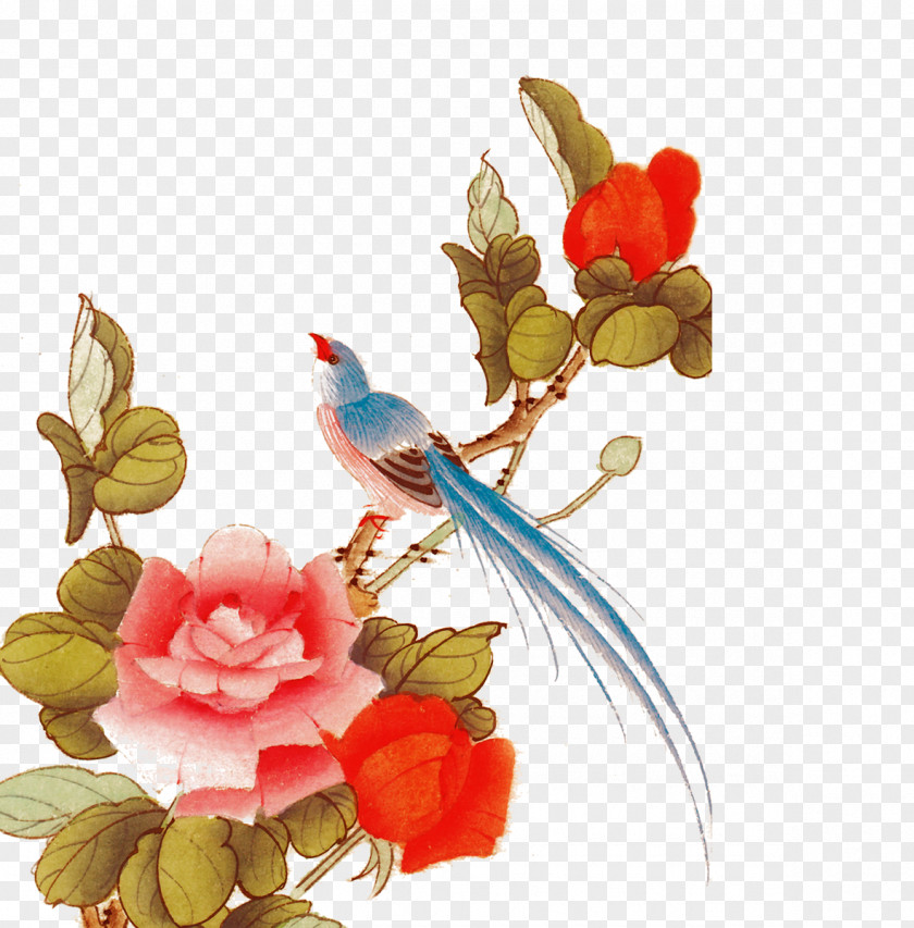 Chinese Style Bird Material PNG