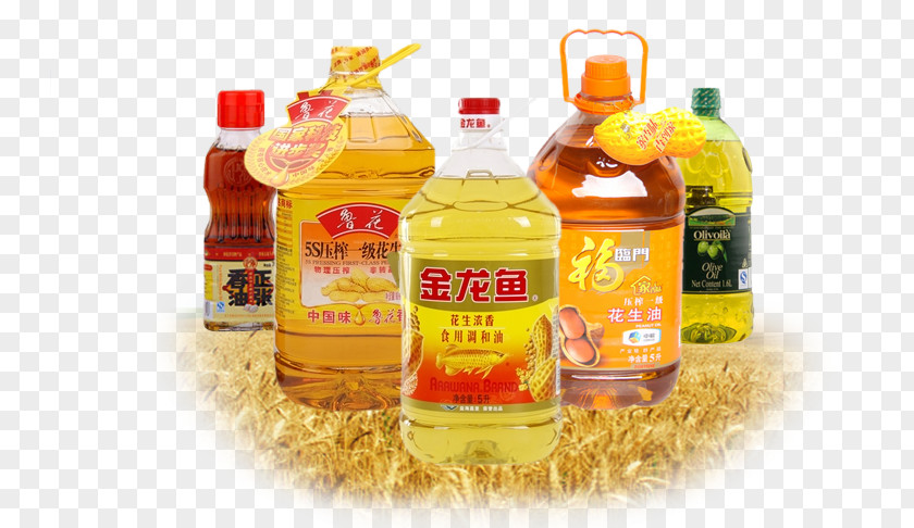 Cooking Oil Collection Vegetable Stuffing Oils Liqueur PNG