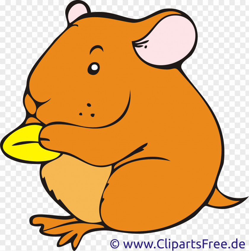 Hamster Food Cliparts Your Clip Art PNG