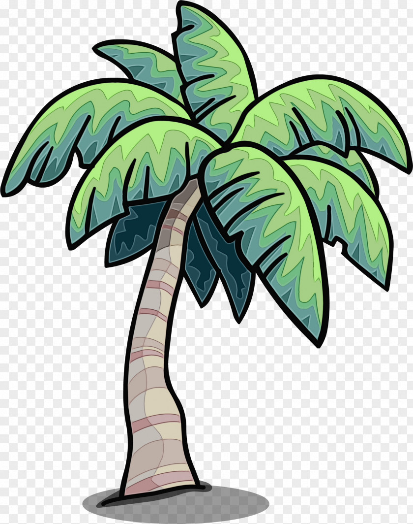 Vascular Plant Stem Cartoon Palm Tree PNG