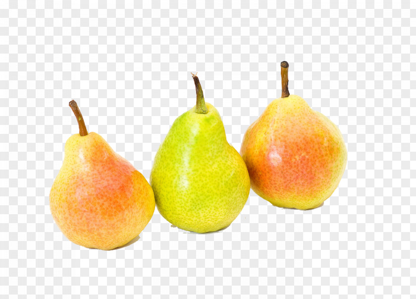 Colorful Fruits Pears Fruit Cute Pyrus Xd7 Bretschneideri PNG
