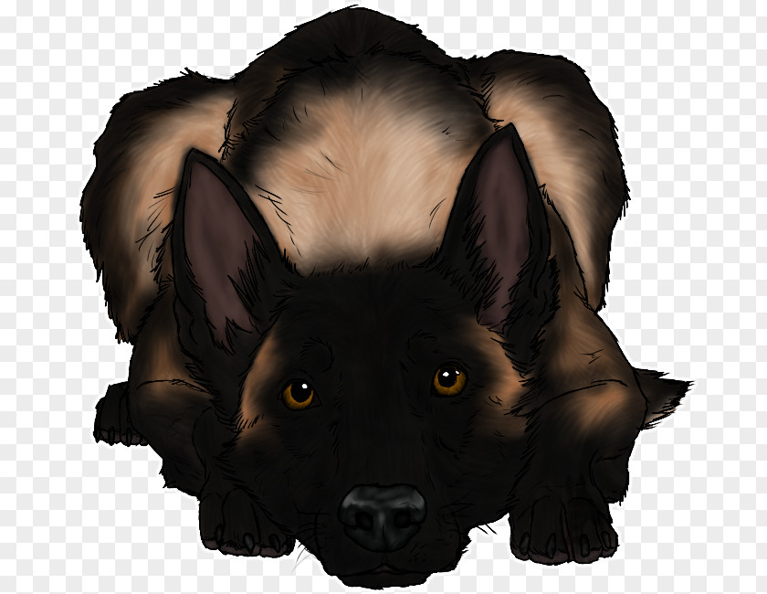 Dog Breed Snout Fur PNG