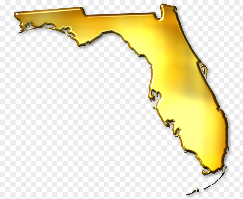 Map Florida Mover Clip Art PNG