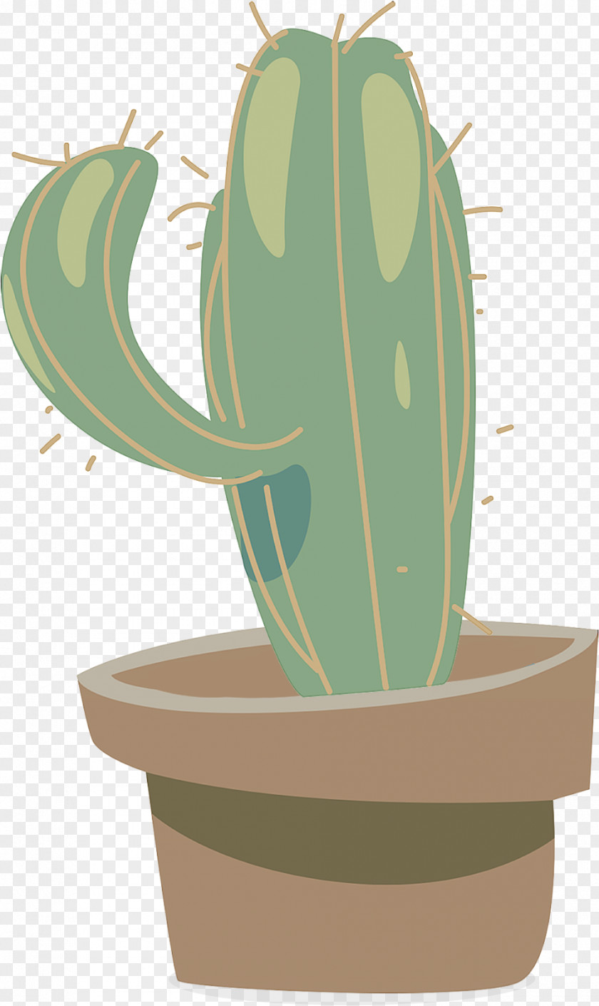 Prickly Pear Terrestrial Plant Cactus PNG