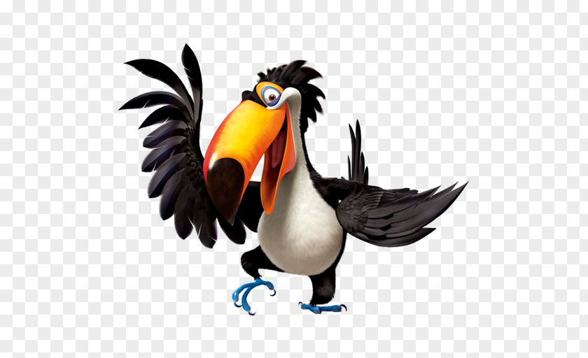 Rio2 Rafael 2 Hornbill Flightless Bird Galliformes PNG