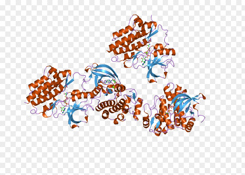 ABL2 Philadelphia Chromosome Tyrosine Kinase Bcr-Abl Tyrosine-kinase Inhibitor PNG