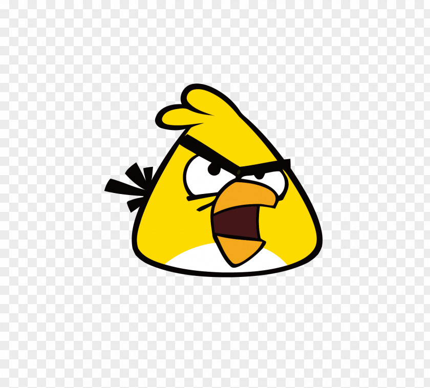 Angry Bird Birds Star Wars Space Evolution PNG