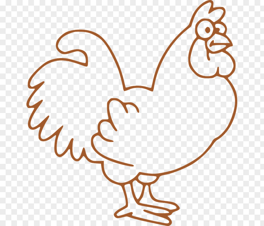 Chicken Coloring Book Animal Drawing Bird PNG