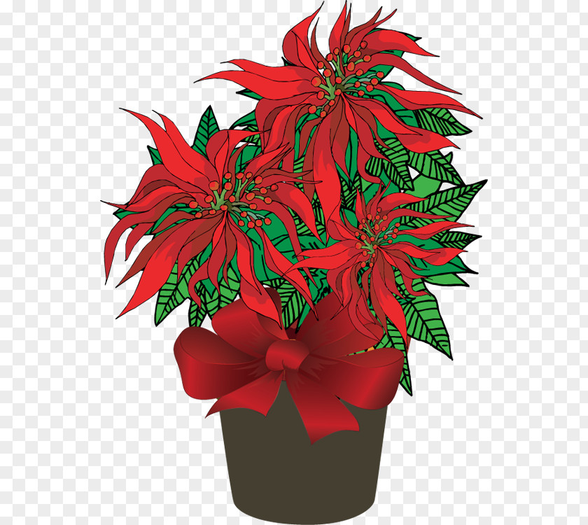 Poinsettia Cliparts Plant Christmas Clip Art PNG