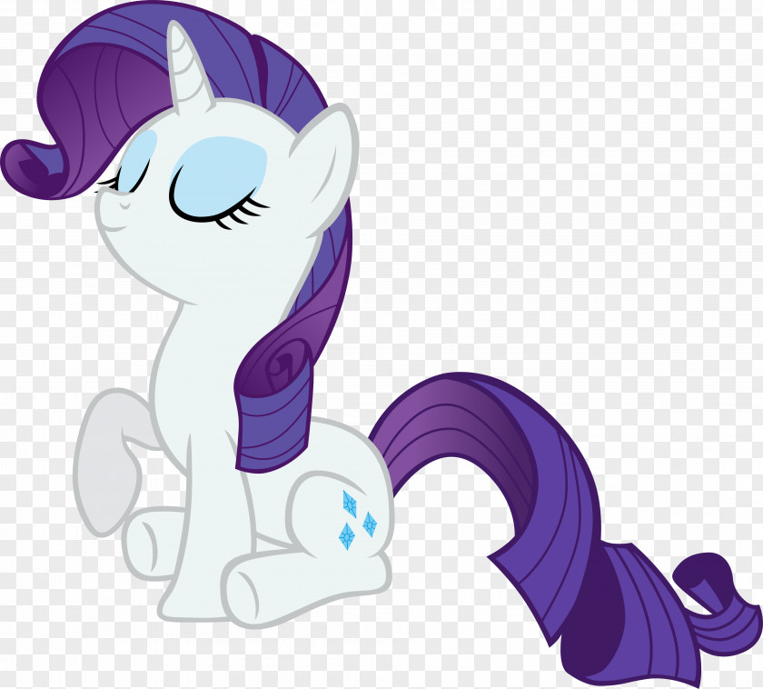 Proud Rarity Rainbow Dash Twilight Sparkle Pinkie Pie Fluttershy PNG