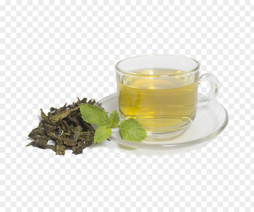 Tea Advertising Oolong Chiang Mai Green Earl Grey PNG