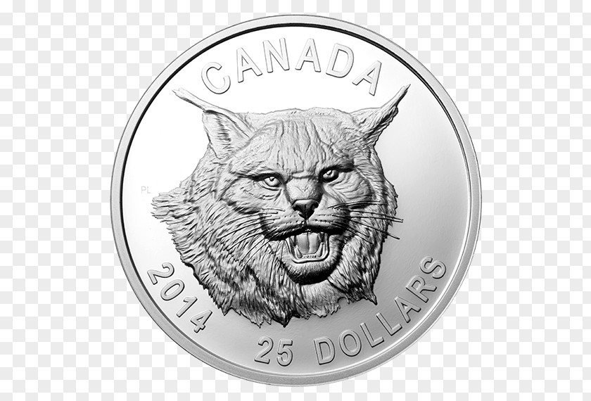 Canadian Lynx Coin Canada Silver Terrain PNG