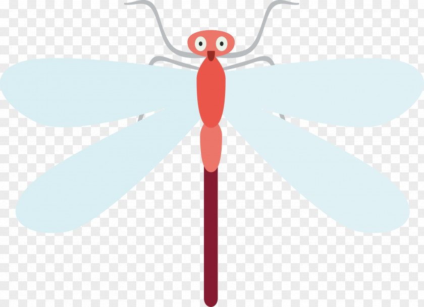 Cartoon Dragonfly Insect Text Wing Illustration PNG