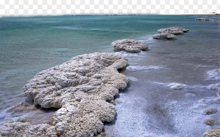 Dead Sea Salt And Four Dove Nest Park Beidaihe District Tourist Attraction PNG