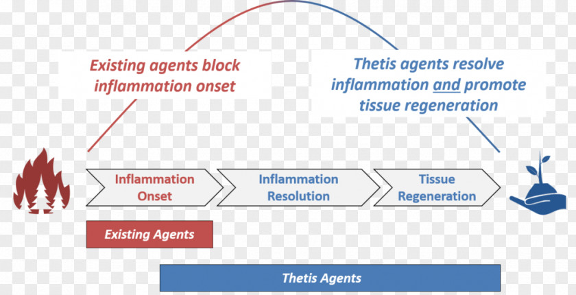 Disease Prevention Brand Product Design Online Advertising Diagram PNG