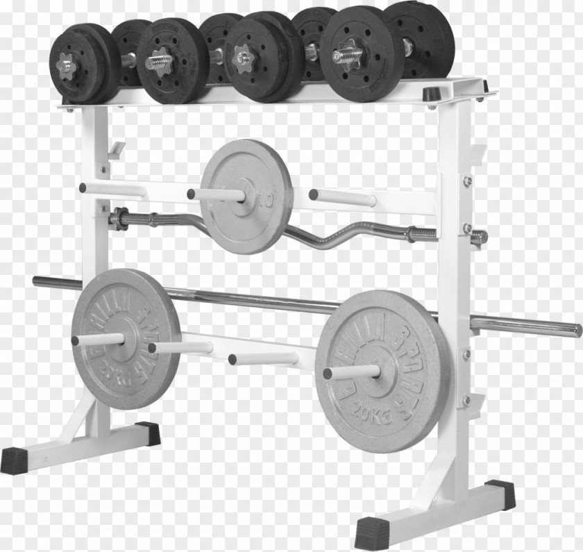 Dumbbell Weight Training Bench Fitness Centre PNG