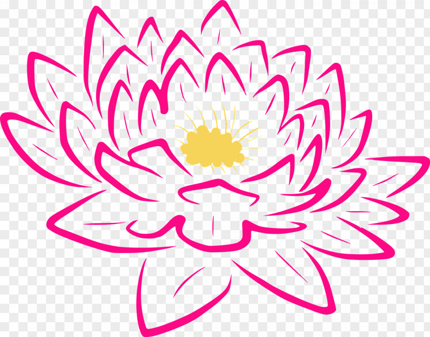 Flower Floral Design Lily Drawing Sacred Lotus PNG