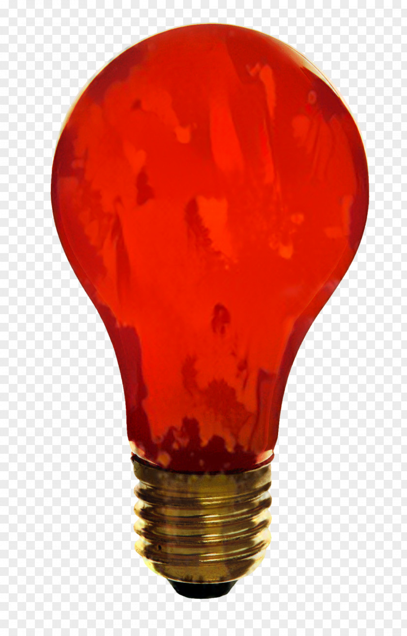 Lighting Incandescent Light Bulb Lamp Edison Screw PNG