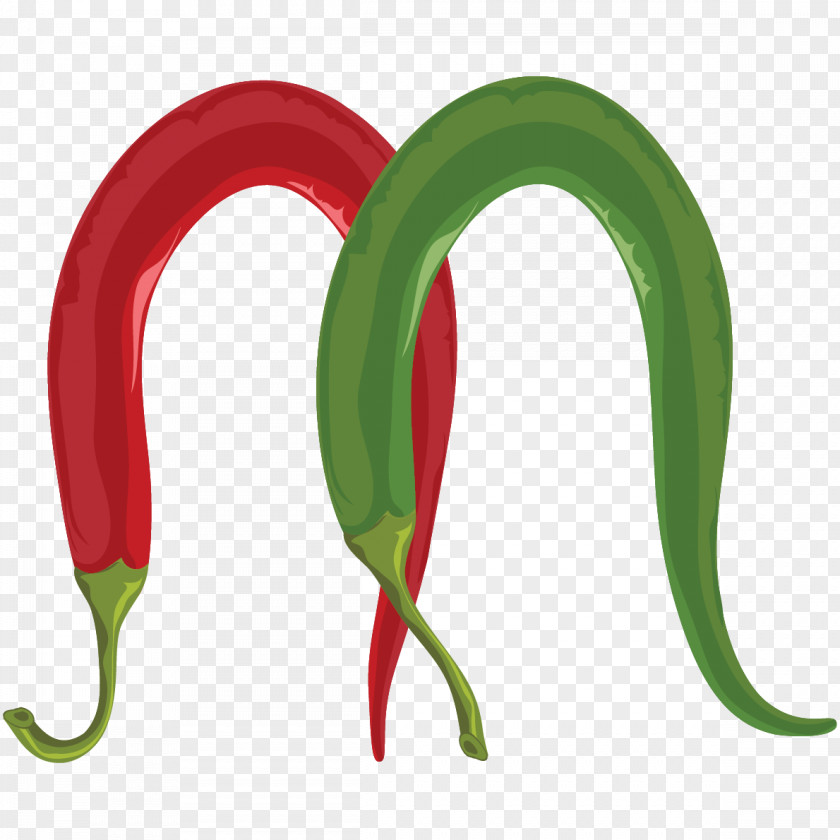 M Chili Pepper Letter English Alphabet PNG