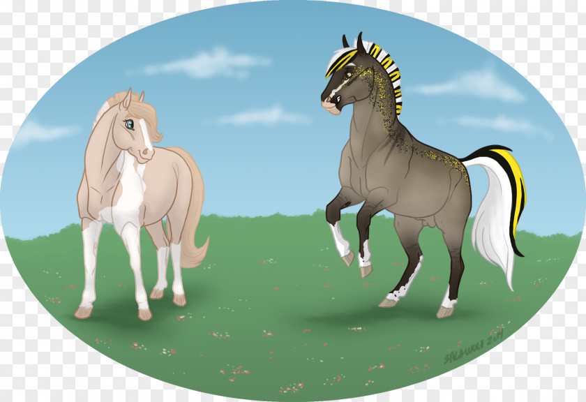 Play Time Mustang Foal Stallion Colt Pony PNG