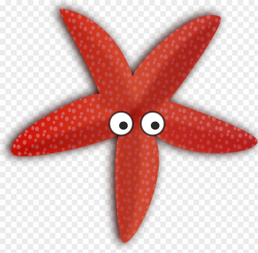 Sea Star Starfish Cartoon Clip Art PNG