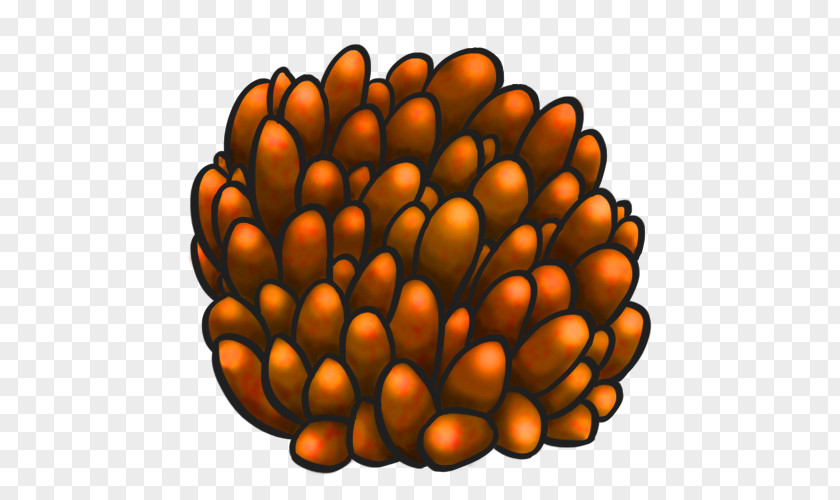 Bubble Orange Commodity Fruit PNG