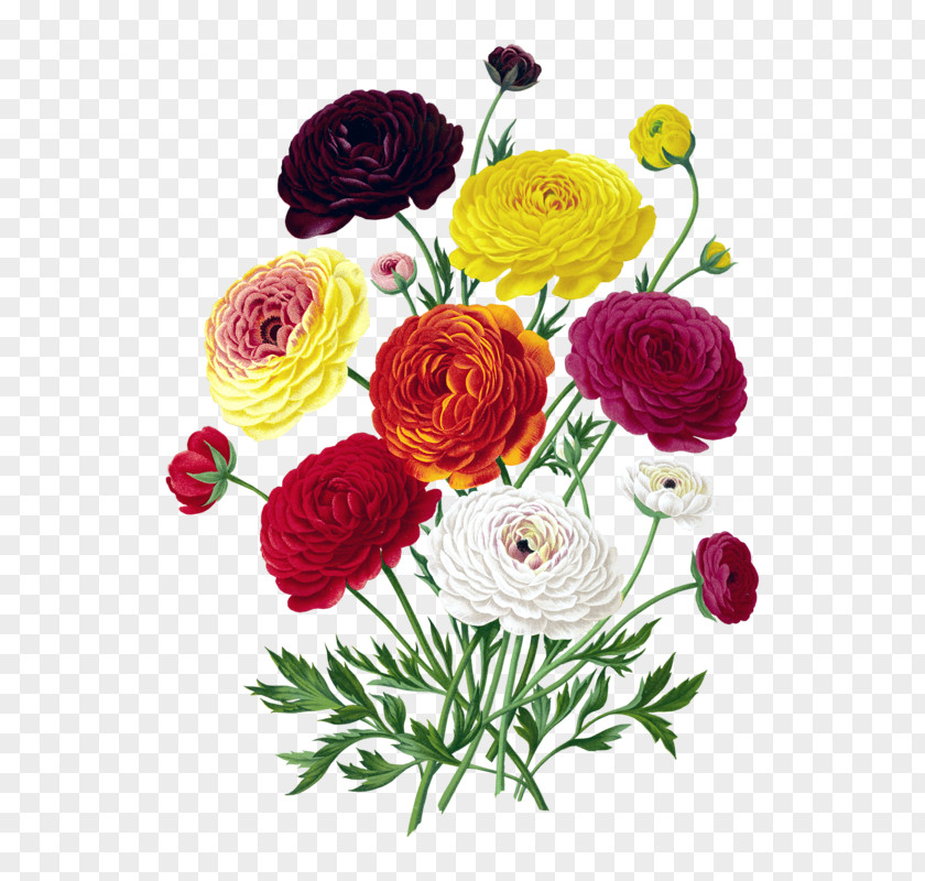 Flower Bouquet Wedding Persian Buttercup Clip Art PNG