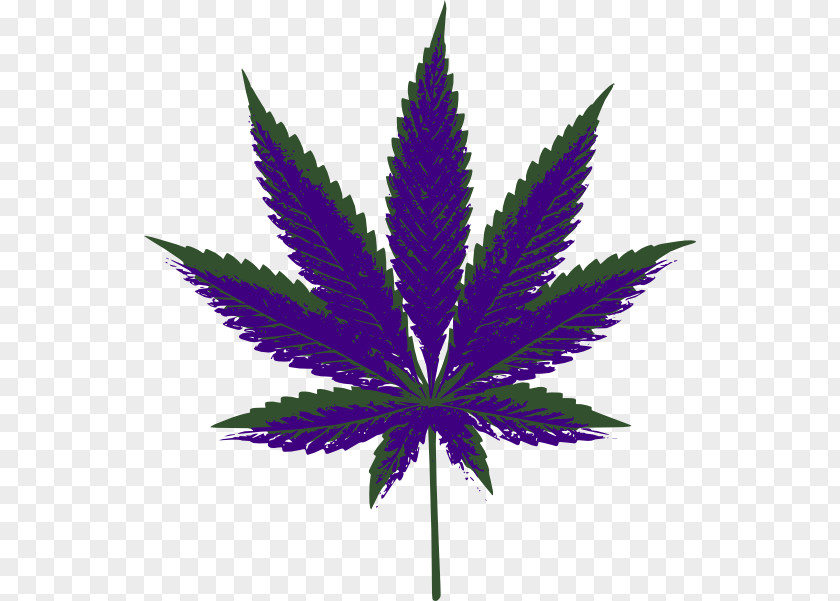 Pain Kush Medical Cannabis Clip Art PNG