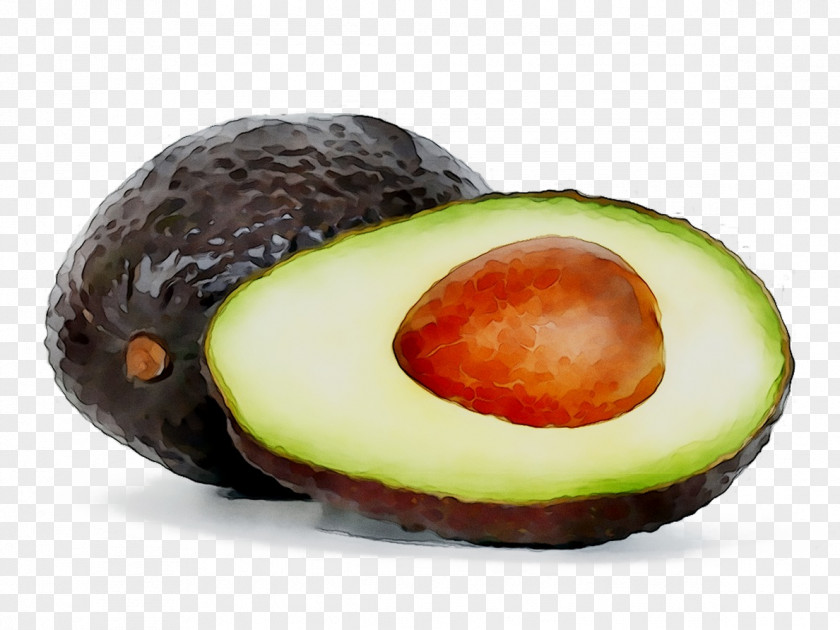 Avocado Superfood Diet Food PNG