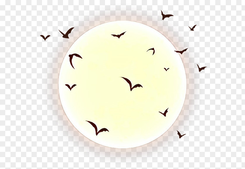 Fly Smile Flock Bat Bird Migration PNG