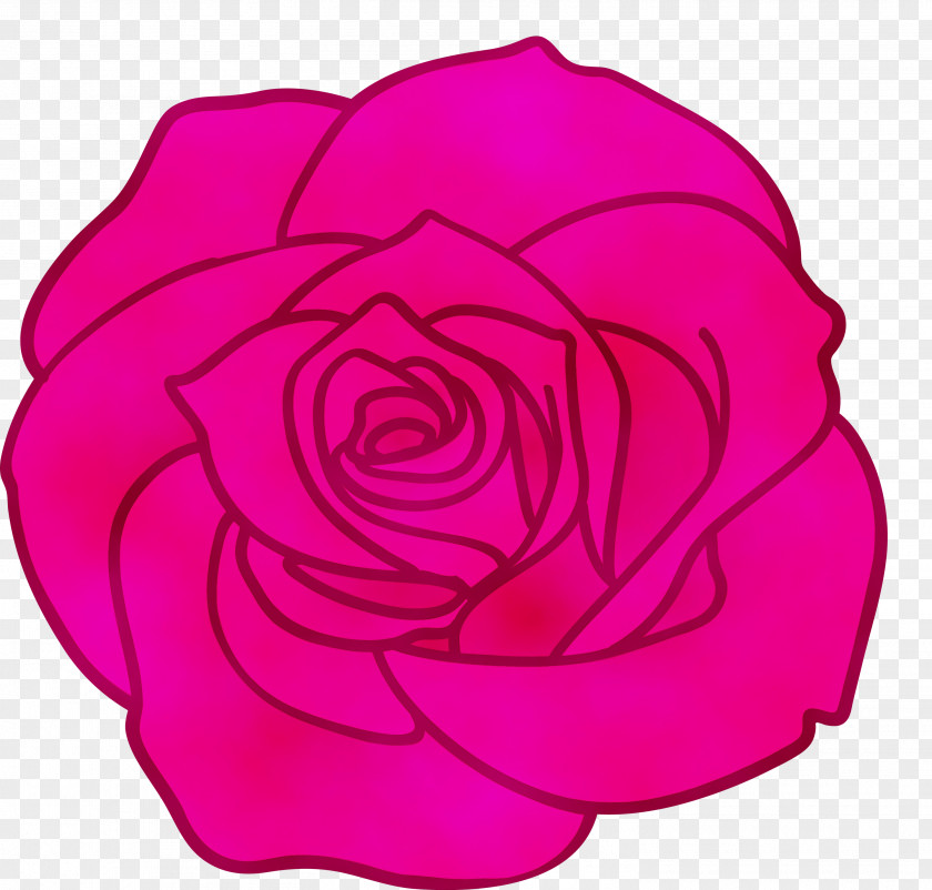 Garden Roses PNG