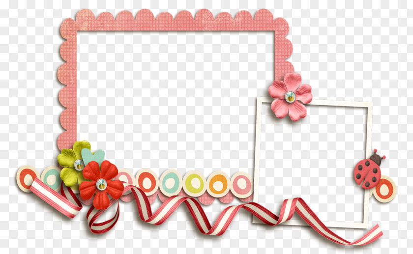 Photography Picture Frames Image Ultimo PNG