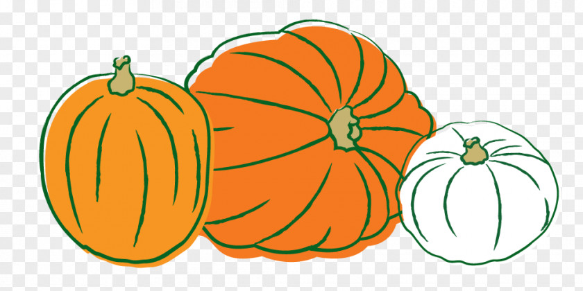 Pictures Of Animated Pumpkins Pumpkin Calabaza Gourd Winter Squash Clip Art PNG