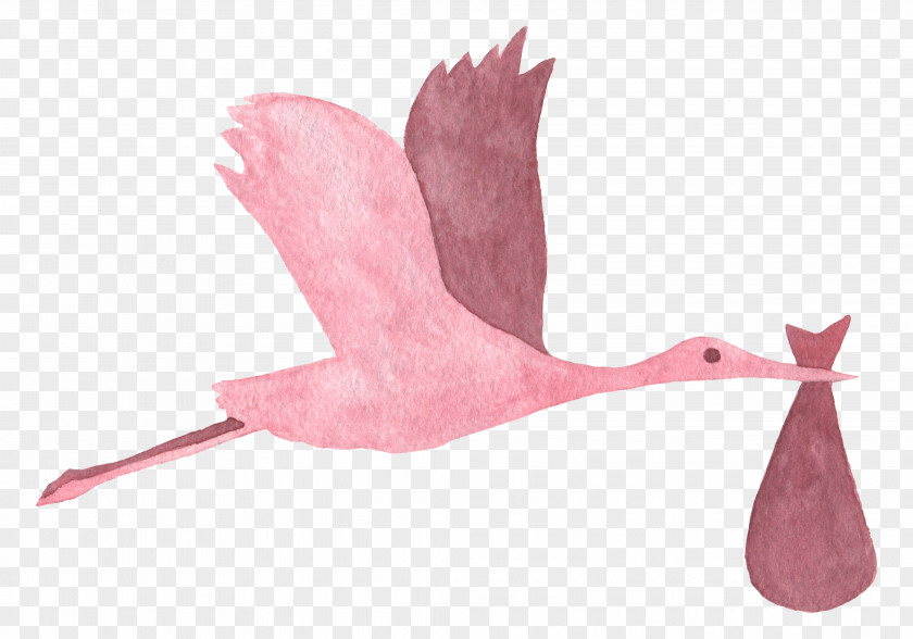 Pink Crane Watercolor Painting Infant Baby Shower Creative Market PNG