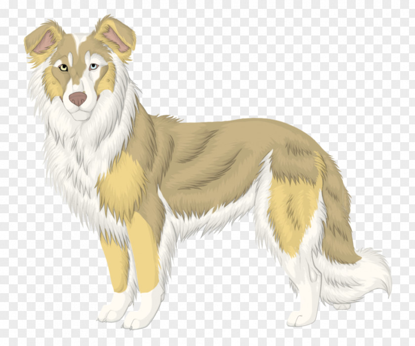 Sheep Dog Rough Collie Breed Companion PNG