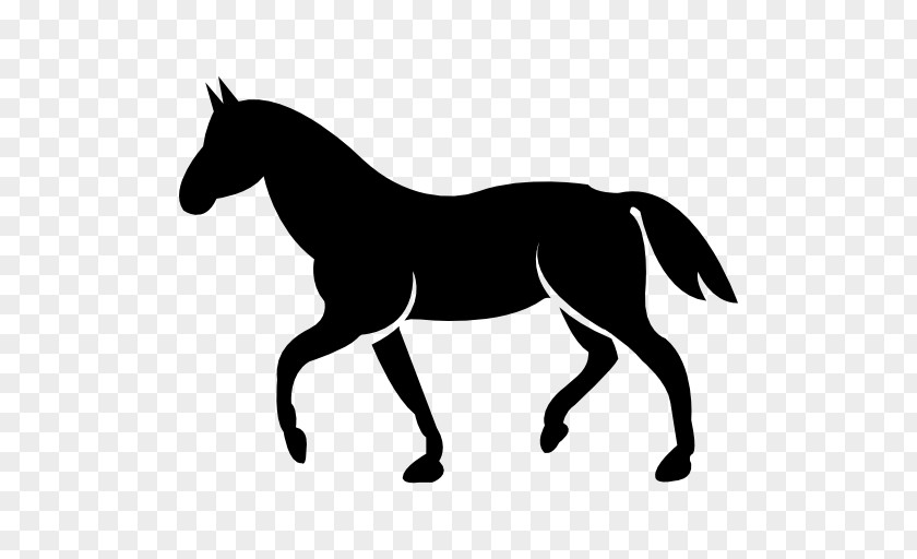 Standardbred The Black Cat Stitchery Tennessee Walking Horse Equestrian PNG