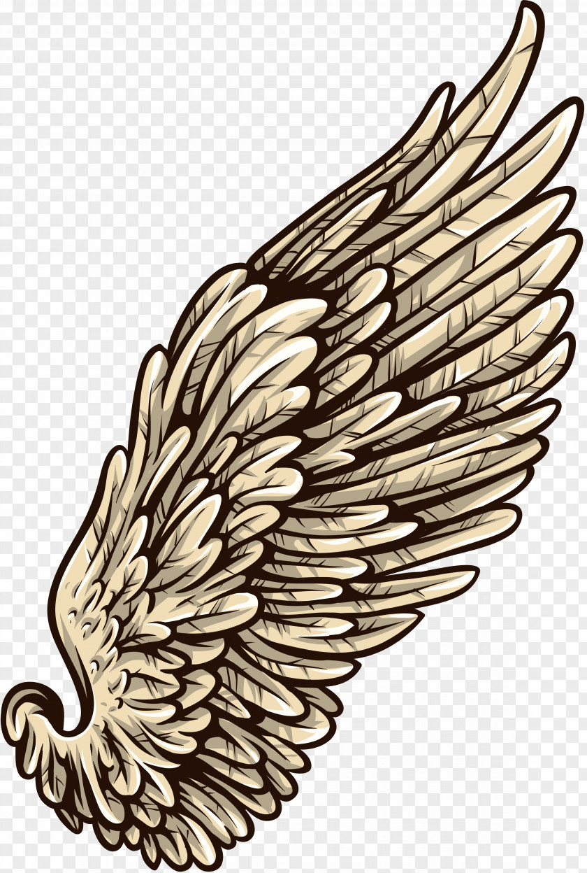 White Wing PNG